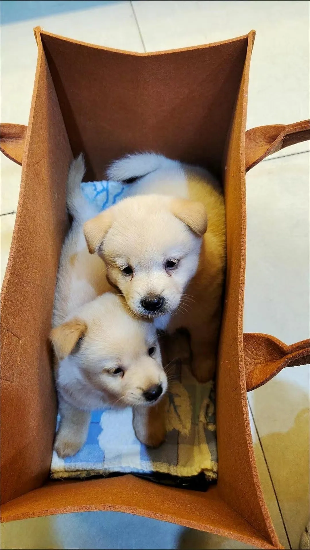 12Colors Plain Unisex Wide Base Large Felt Tote - Image 4